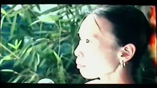 Event Videos